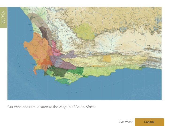 Constantia Coastal 