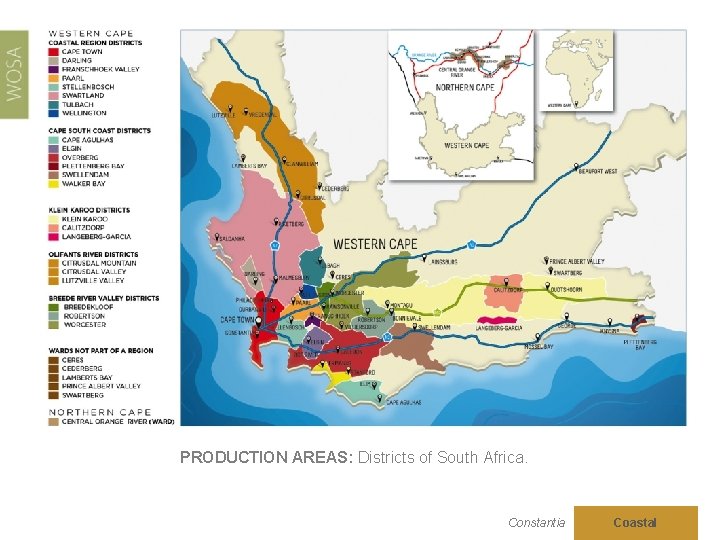 PRODUCTION AREAS: Districts of South Africa. Constantia Coastal 