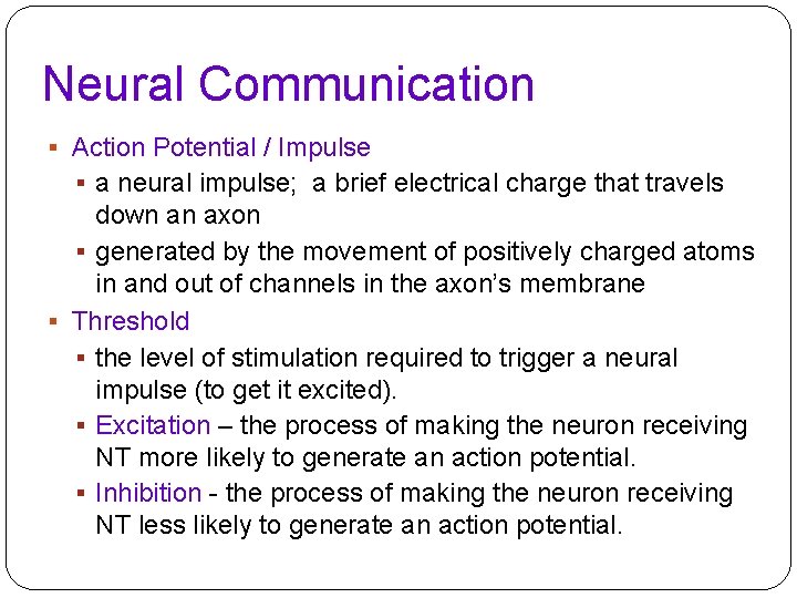 Neural Communication § Action Potential / Impulse § a neural impulse; a brief electrical