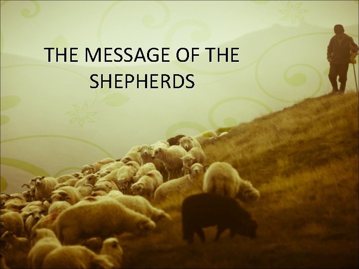 THE MESSAGE OF THE SHEPHERDS 
