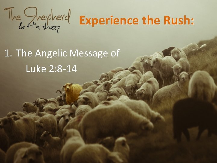 Experience the Rush: 1. The Angelic Message of Luke 2: 8 -14 
