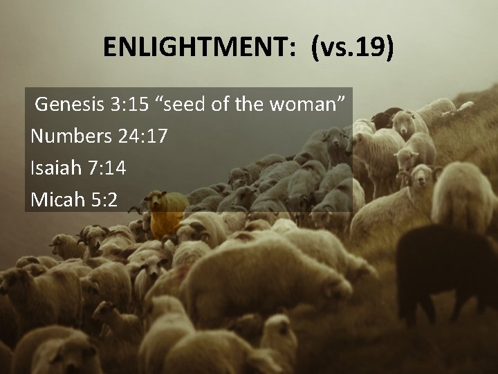 ENLIGHTMENT: (vs. 19) Genesis 3: 15 “seed of the woman” Numbers 24: 17 Isaiah