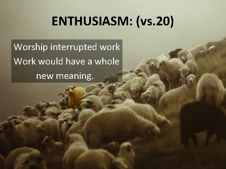 ENTHUSIASM: (vs. 20) Worship interrupted work Work would have a whole new meaning. 