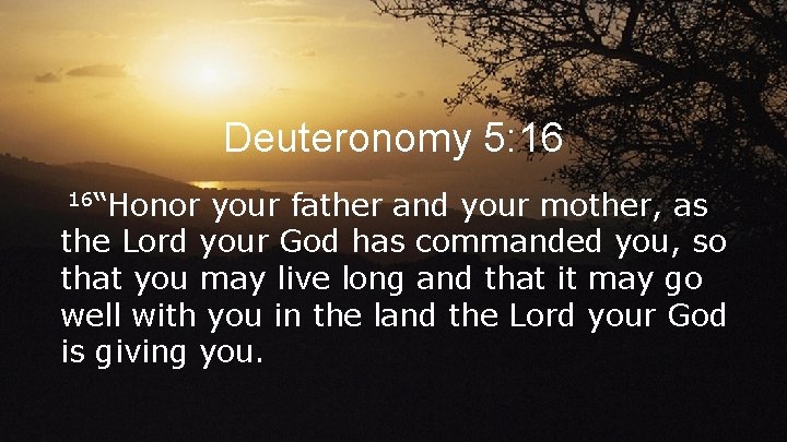 Deuteronomy 5: 16 16“Honor your father and your mother, as the Lord your God