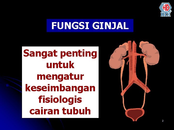 FUNGSI GINJAL Sangat penting untuk mengatur keseimbangan fisiologis cairan tubuh 2 