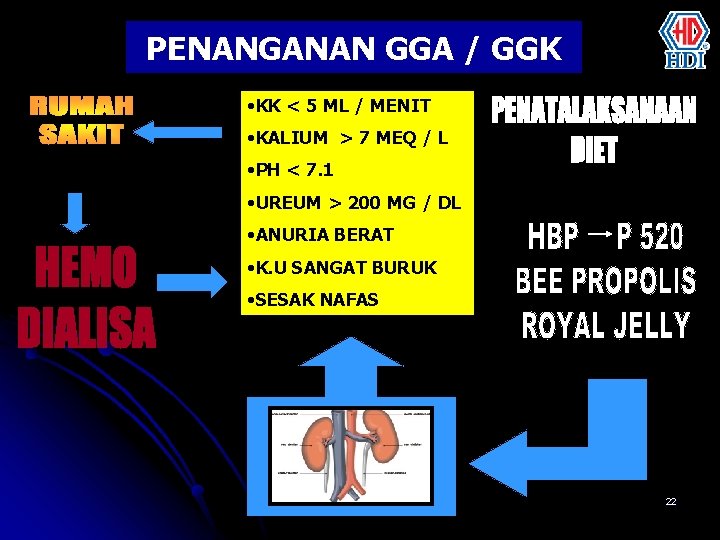 PENANGANAN GGA / GGK • KK < 5 ML / MENIT • KALIUM >