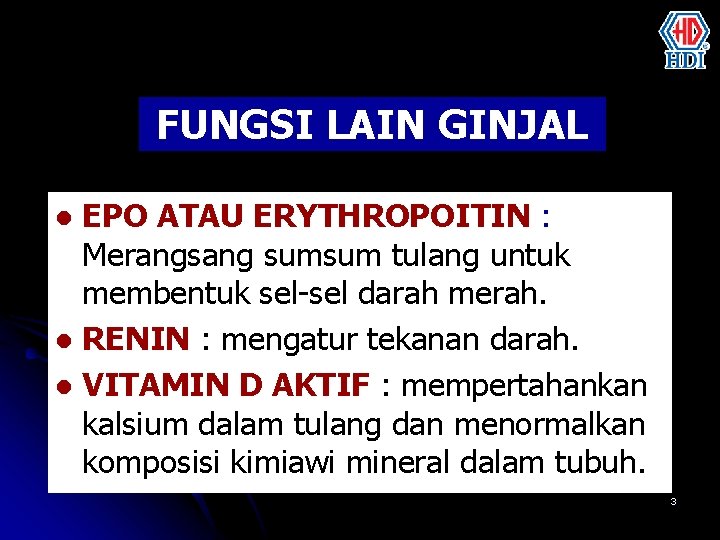 FUNGSI LAIN GINJAL EPO ATAU ERYTHROPOITIN : Merangsang sumsum tulang untuk membentuk sel-sel darah