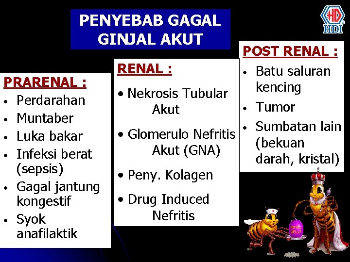 PENYEBAB GAGAL GINJAL AKUT PRARENAL : • Perdarahan • Muntaber • Luka bakar •