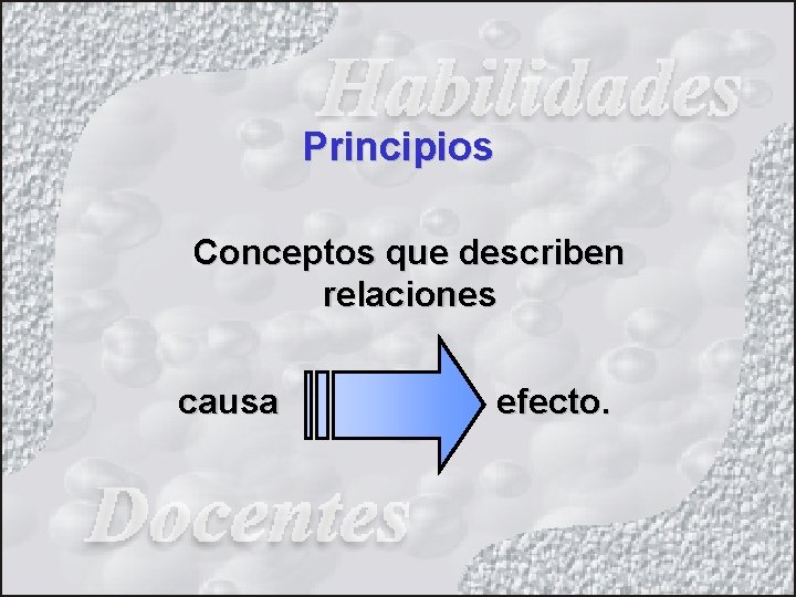 Principios Conceptos que describen relaciones causa efecto. 