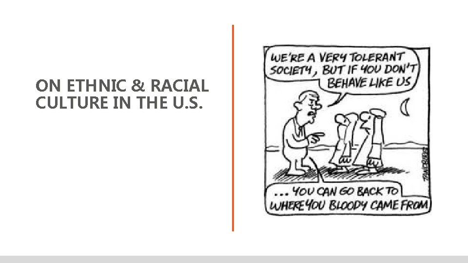 ON ETHNIC & RACIAL CULTURE IN THE U. S. 