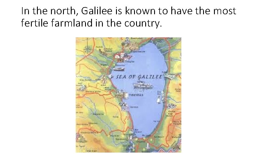 In the north, Galilee is known to have the most fertile farmland in the