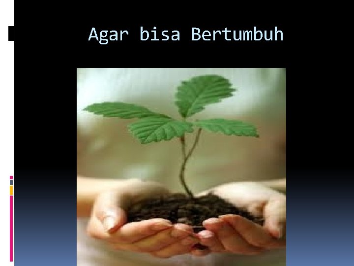 Agar bisa Bertumbuh 