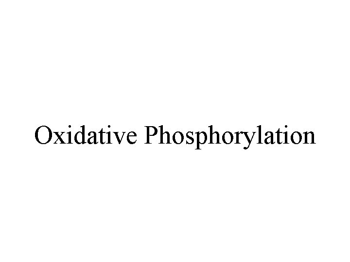 Oxidative Phosphorylation 