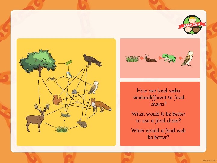 How are food webs similar/different to food chains? When would it be better to How are food webs similar/different to food chains? When would it be better to