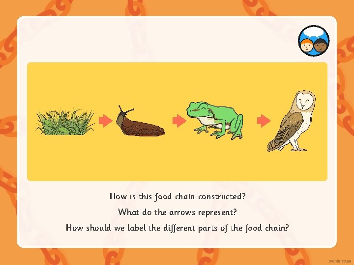 How is this food chain constructed? What do the arrows represent? How should we How is this food chain constructed? What do the arrows represent? How should we