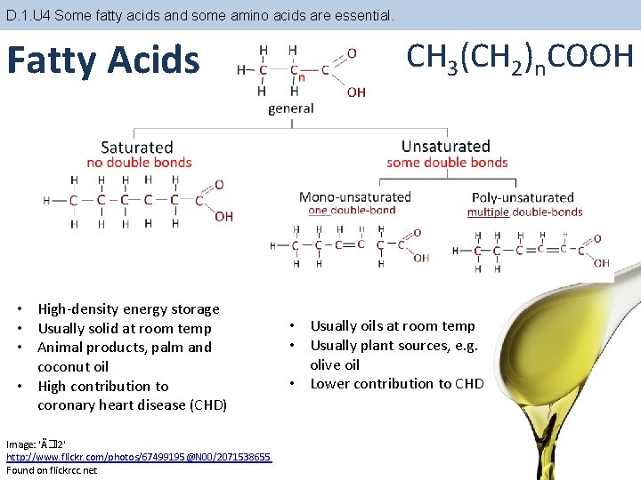 D. 1. U 4 Some fatty acids and some amino acids are essential. Fatty