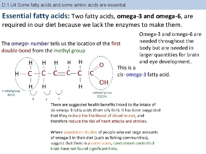 D. 1. U 4 Some fatty acids and some amino acids are essential. Essential