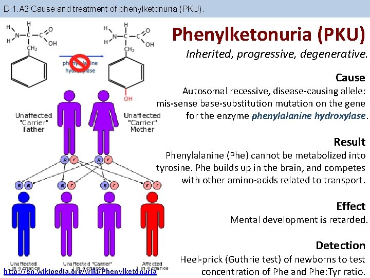 D. 1. A 2 Cause and treatment of phenylketonuria (PKU). Phenylketonuria (PKU) Inherited, progressive,