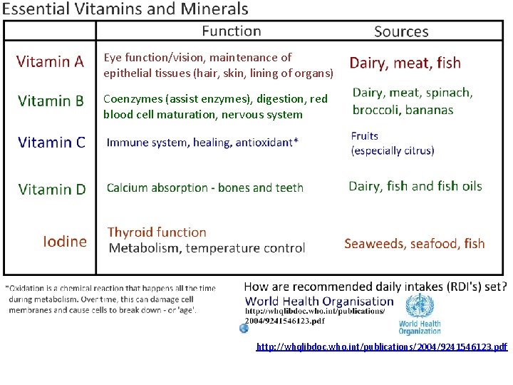 Eye function/vision, maintenance of epithelial tissues (hair, skin, lining of organs) Coenzymes (assist enzymes),