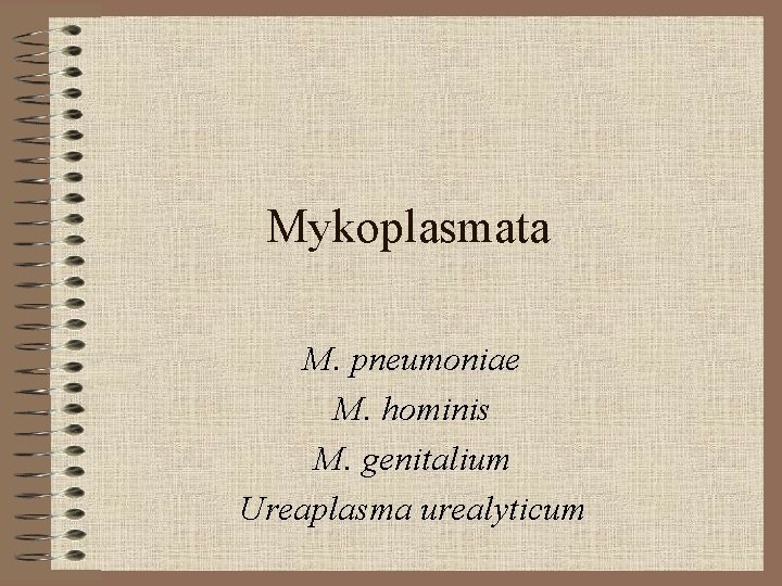 Mykoplasmata M. pneumoniae M. hominis M. genitalium Ureaplasma urealyticum 