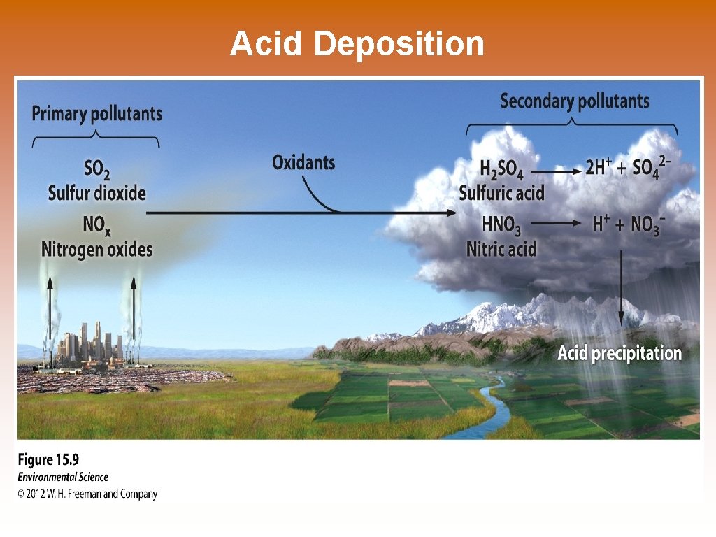 Acid Deposition 