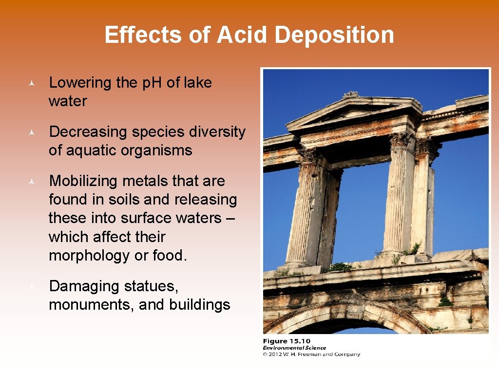 Effects of Acid Deposition © Lowering the p. H of lake water © Decreasing