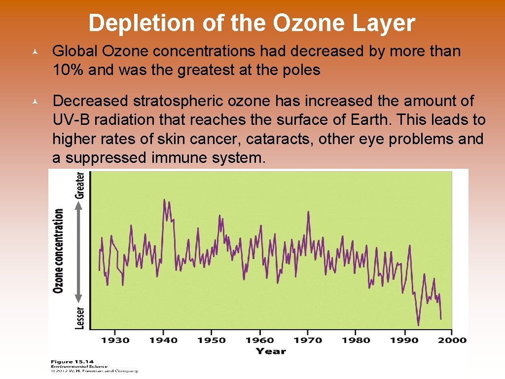 Depletion of the Ozone Layer © Global Ozone concentrations had decreased by more than