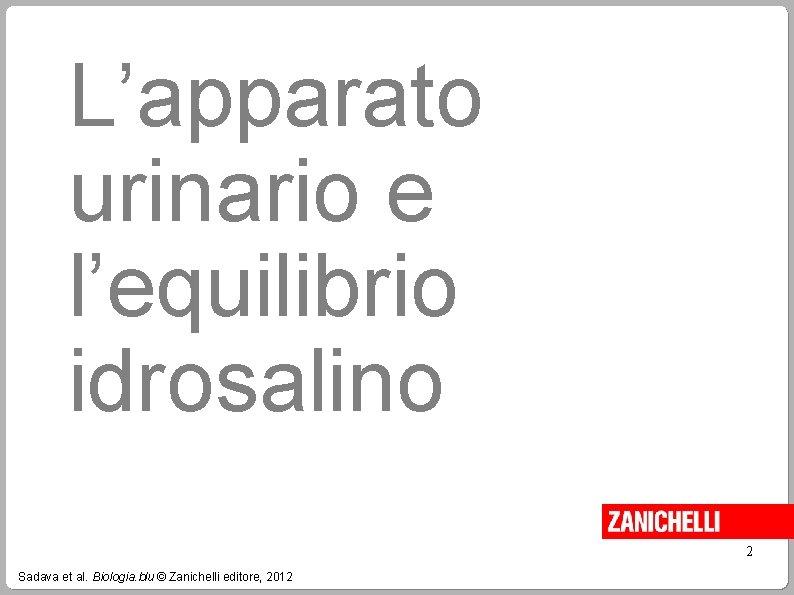 L’apparato urinario e l’equilibrio idrosalino 2 Sadava et al. Biologia. blu © Zanichelli editore,