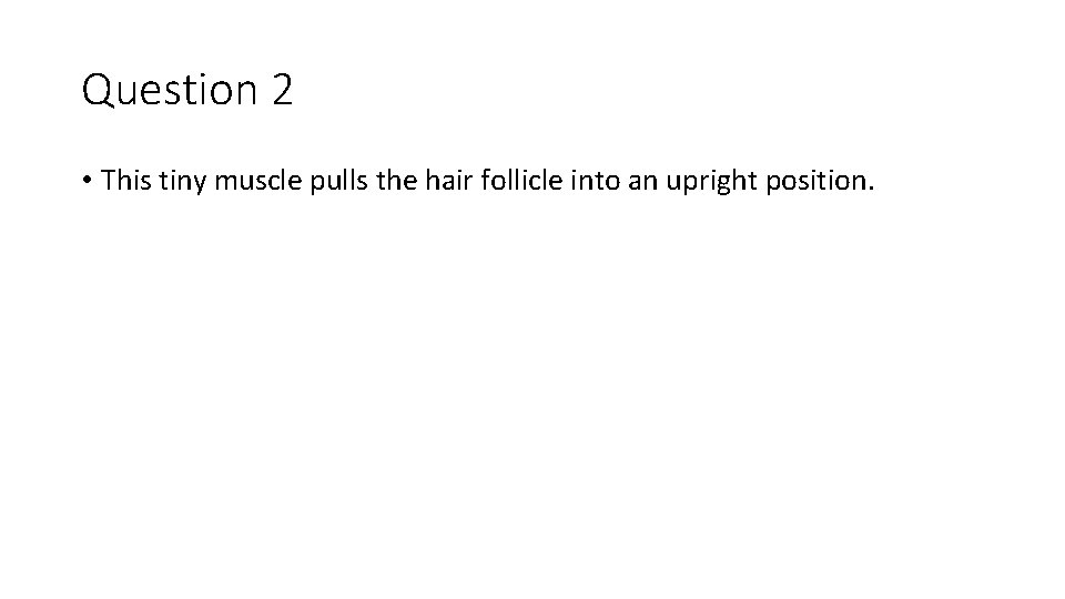 Question 2 • This tiny muscle pulls the hair follicle into an upright position.