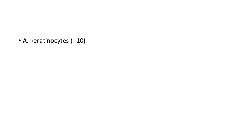  • A. keratinocytes (- 10) 