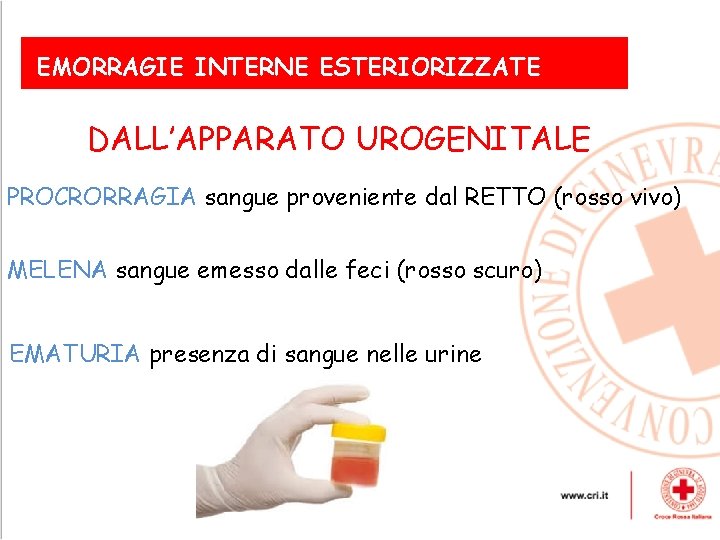 EMORRAGIE INTERNE ESTERIORIZZATE DALL’APPARATO UROGENITALE PROCRORRAGIA sangue proveniente dal RETTO (rosso vivo) Le emorragie