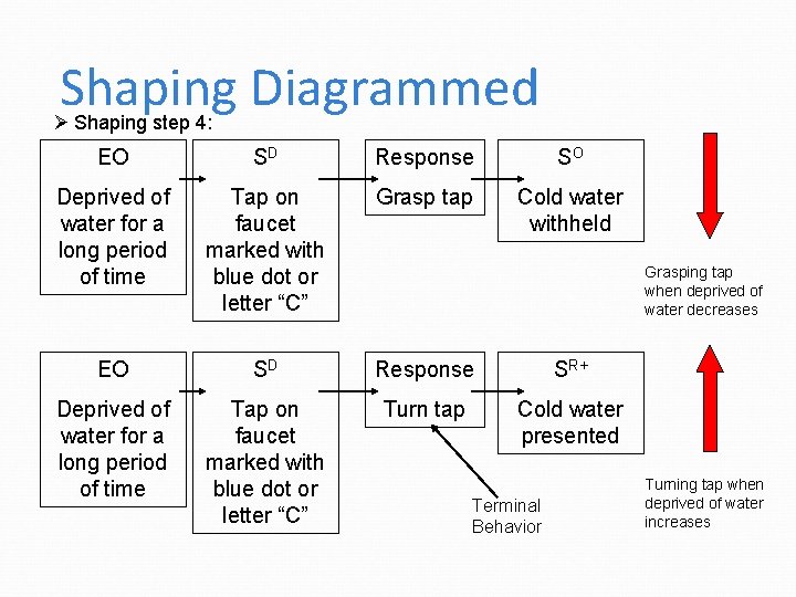 Shaping Diagrammed Ø Shaping step 4: EO SD Response SO Deprived of water for