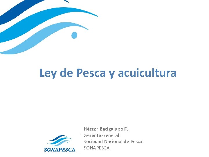 Ley de Pesca y acuicultura Héctor Bacigalupo F. Gerente General Sociedad Nacional de Pesca