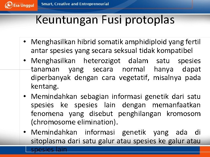 Keuntungan Fusi protoplas • Menghasilkan hibrid somatik amphidiploid yang fertil antar spesies yang secara
