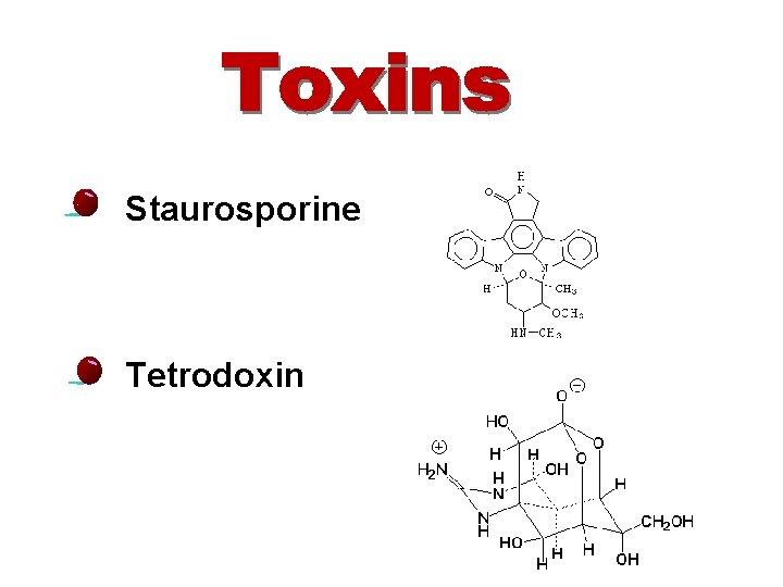  • Staurosporine • Tetrodoxin 