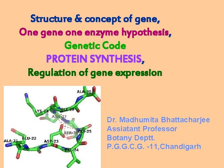 Structure & concept of gene, One gene one enzyme hypothesis, Genetic Code PROTEIN SYNTHESIS,
