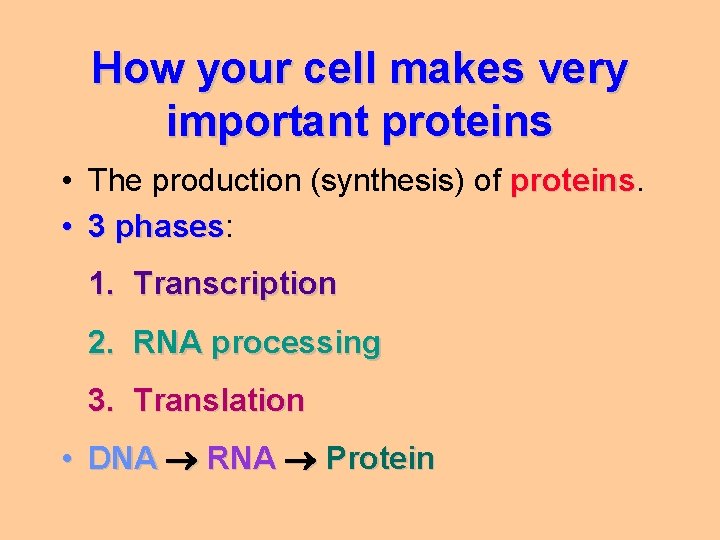 How your cell makes very important proteins • The production (synthesis) of proteins •