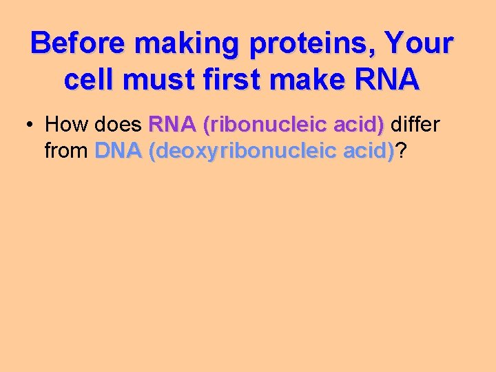 Before making proteins, Your cell must first make RNA • How does RNA (ribonucleic