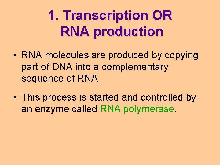 1. Transcription OR RNA production • RNA molecules are produced by copying part of