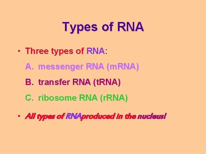 Types of RNA • Three types of RNA: RNA A. messenger RNA (m. RNA)