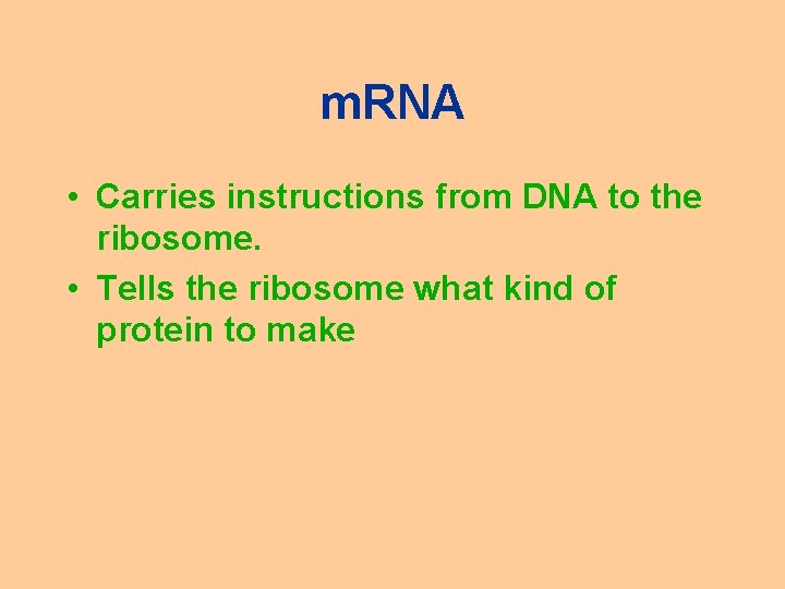 m. RNA • Carries instructions from DNA to the ribosome. • Tells the ribosome