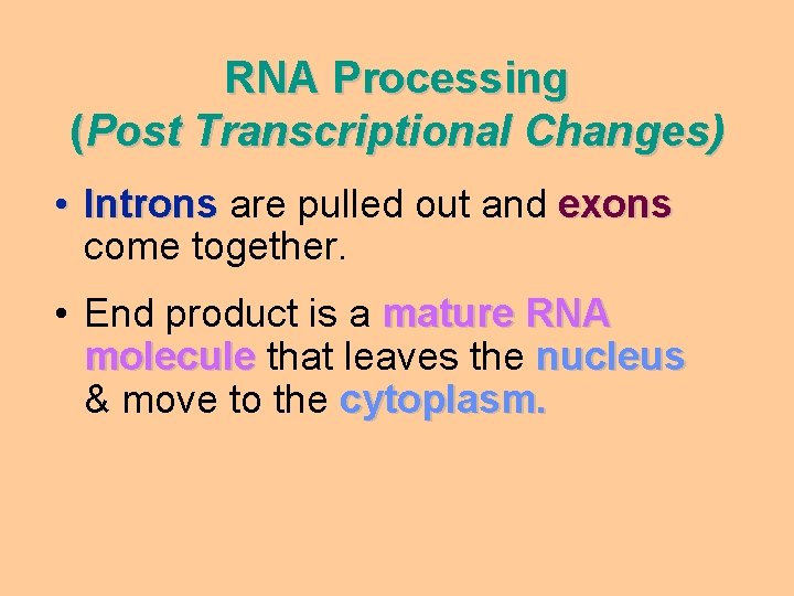 RNA Processing (Post Transcriptional Changes) • Introns are pulled out and exons come together.