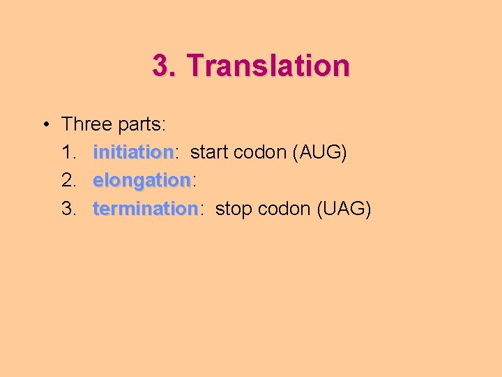 3. Translation • Three parts: 1. initiation: initiation start codon (AUG) 2. elongation: elongation