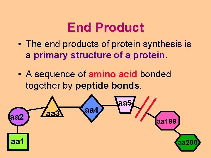 End Product • The end products of protein synthesis is a primary structure of