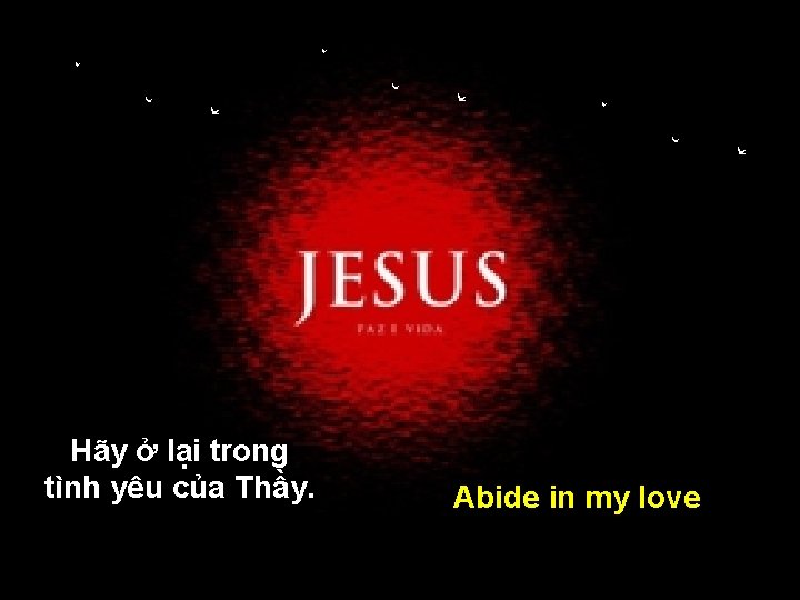 Hãy ở lại trong tình yêu của Thầy. Abide in my love 