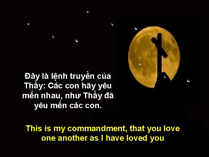 Ðây là lệnh truyền của Thầy: Các con hãy yêu mến nhau, như Thầy