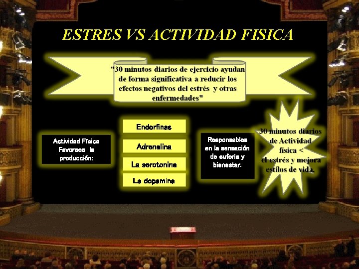 ESTRES VS ACTIVIDAD FISICA Endorfinas Actividad Física Favorece la producción: Adrenalina La serotonina La ESTRES VS ACTIVIDAD FISICA Endorfinas Actividad Física Favorece la producción: Adrenalina La serotonina La