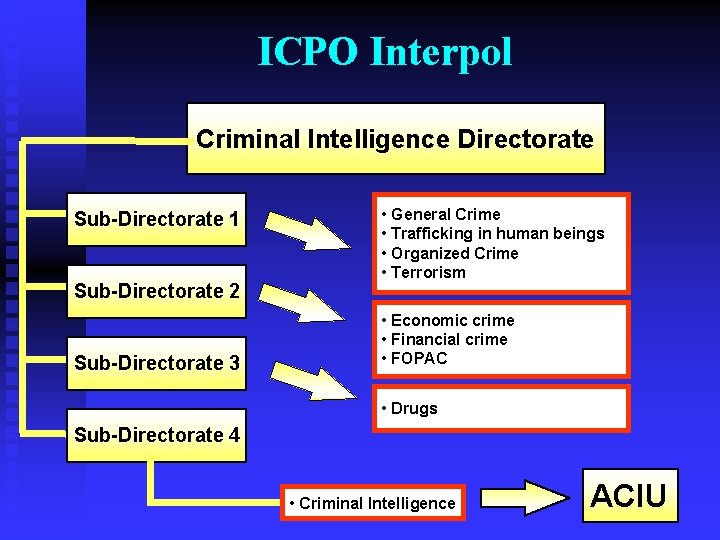 ICPO Interpol Criminal Intelligence Directorate Sub-Directorate 1 Sub-Directorate 2 Sub-Directorate 3 • General Crime