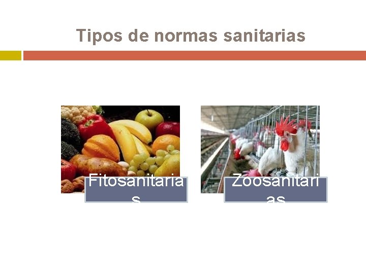 Tipos de normas sanitarias Fitosanitaria s Zoosanitari as 