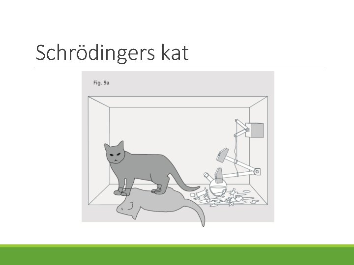 Schrödingers kat 